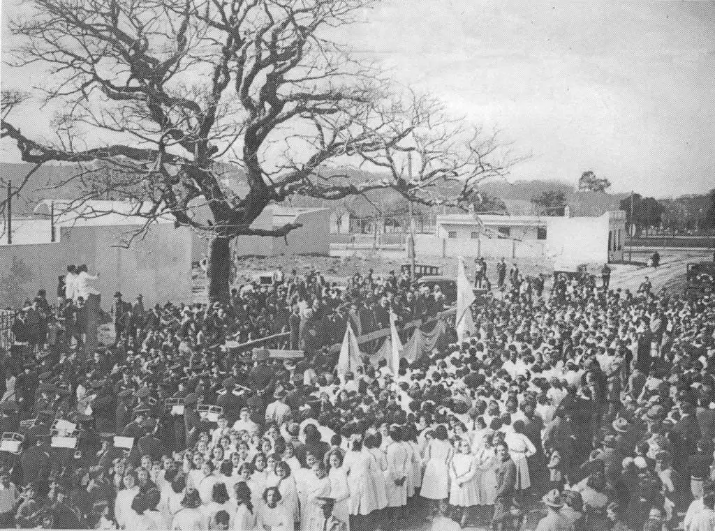 El pacará de Segurola. Un árbol histórico en el barrio Parque Chacabuco