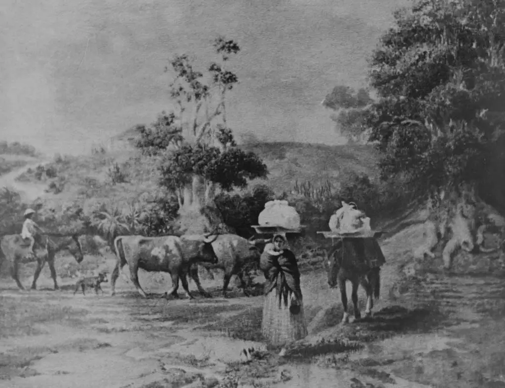 Historias de las tierras de Belgrano I: Sobre dos suertes de Garay se trazó la cuadrícula de Belgrano