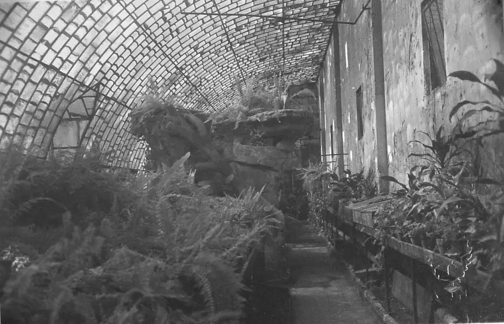 El “Criadero Municipal de Plantas” Primer vivero de Buenos Aires