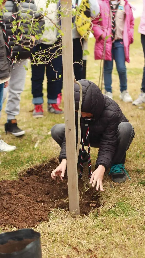 Vecinos por la ecología: 